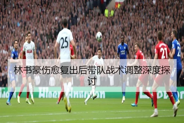 林书豪伤愈复出后带队战术调整深度探讨