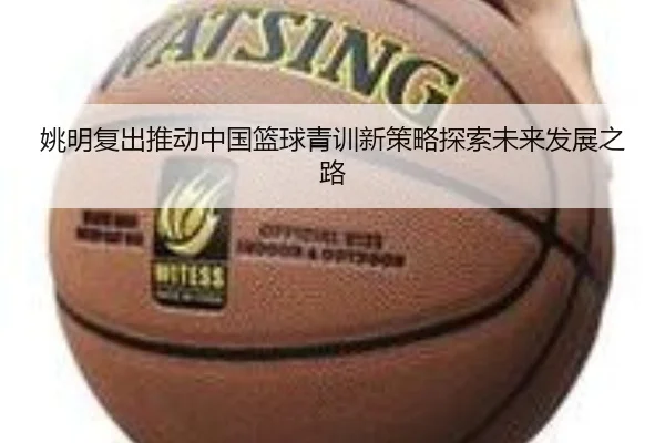 姚明复出推动中国篮球青训新策略探索未来发展之路